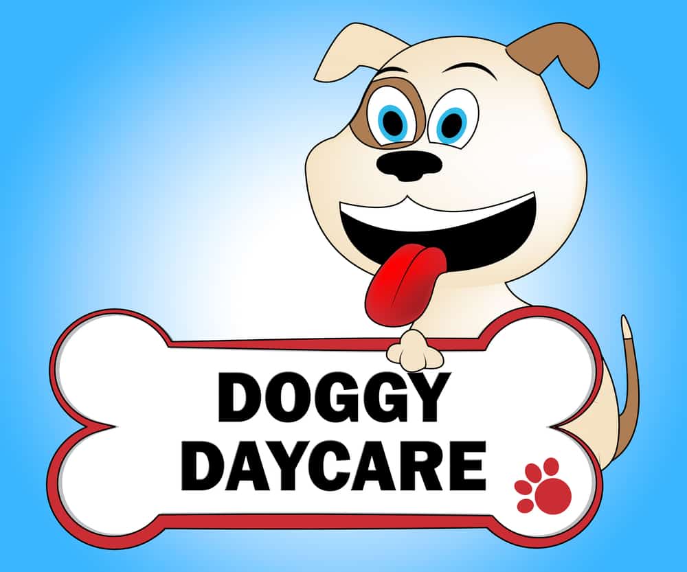 what is the average cost of doggy daycare