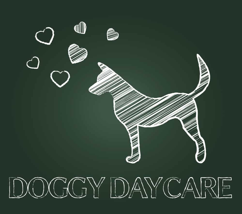 what is the average cost of doggy daycare